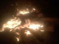 WP_20160415_005.jpg